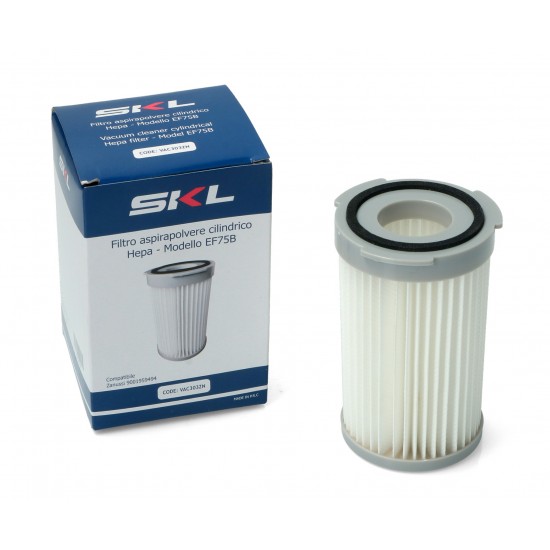 Φίλτρο Αέρα για Σκούπες Aeg-Electrolux EF75B-9001959494 Φίλτρο Αέρα για Σκούπες Aeg-Electrolux EF75B-9001959494